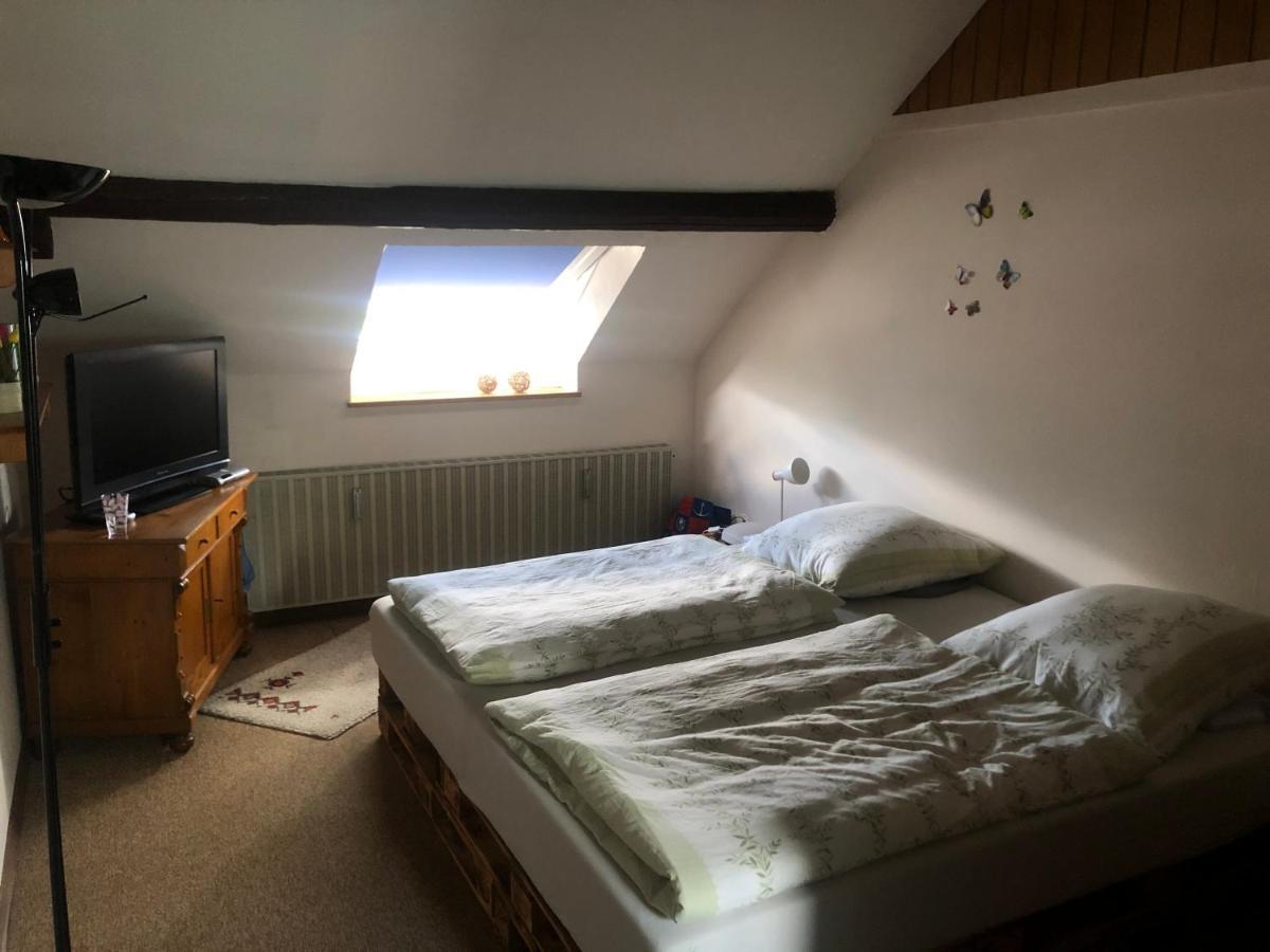 Ironico Homestay 4 Schlafzimmer Ferienwohnung 100 M2 Nahe Bostalsee Eisen  Exteriör bild