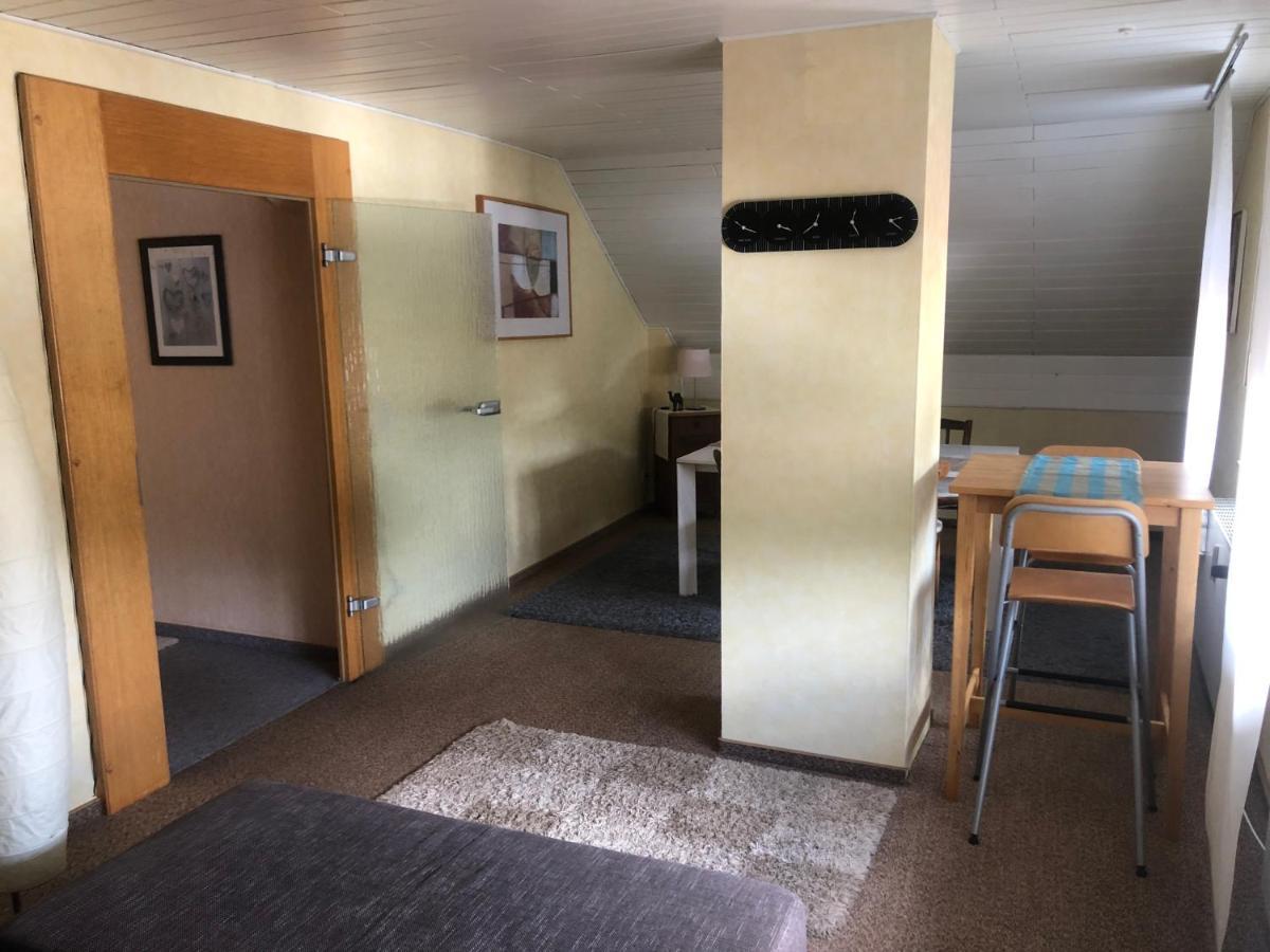 Ironico Homestay 4 Schlafzimmer Ferienwohnung 100 M2 Nahe Bostalsee Eisen  Exteriör bild